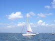 RIMG4943.JPG