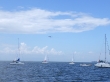 RIMG4945.JPG