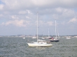 RIMG4965.JPG