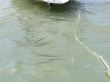 RIMG4966.JPG