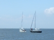 RIMG4969.JPG