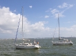 RIMG4978.JPG