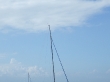 RIMG4981.JPG