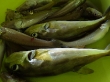 RIMG5076.JPG