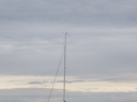 RIMG4691