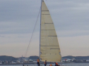 RIMG4692
