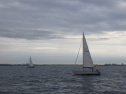 RIMG4696