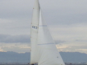 RIMG4711
