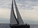 RIMG4719