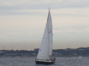 RIMG4740