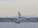RIMG4743