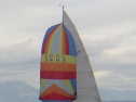RIMG4744