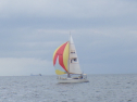 RIMG4666