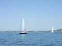 RIMG5281