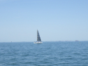 RIMG5282