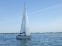 RIMG5287
