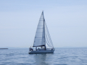 RIMG5290
