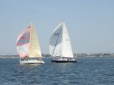 RIMG5299
