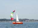 RIMG5311