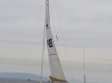 RIMG5343