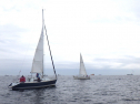 RIMG5367