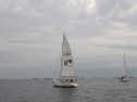 RIMG5372