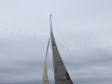 RIMG5376