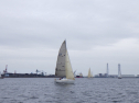 RIMG5378