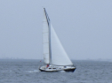 RIMG5386