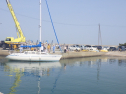 RIMG5438