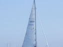 RIMG5665