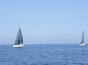 RIMG5669