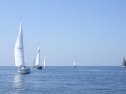 RIMG5672