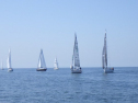 RIMG5677