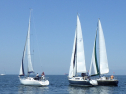 RIMG5682