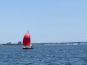 IMG_8928