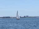 IMG_8953