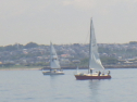 RIMG4775