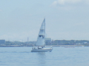 RIMG4778