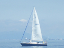 RIMG4781