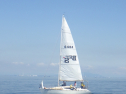 RIMG4786
