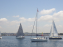 RIMG4799