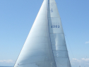 RIMG4817