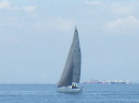 RIMG4822