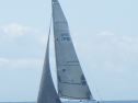 RIMG4823