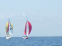 RIMG4832