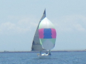 RIMG4833