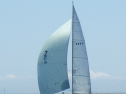 RIMG4837