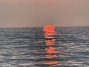 IMG_1280