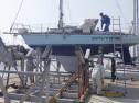 RIMG5865